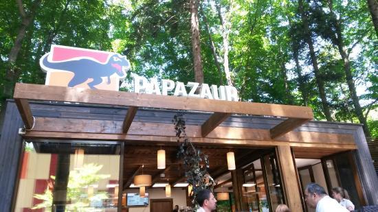 Papazaur